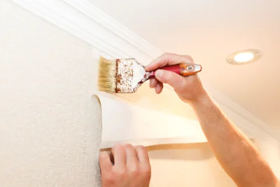 Pose de papier peint à Serra-di-Scopamène — revêtements muraux et toiles de verre